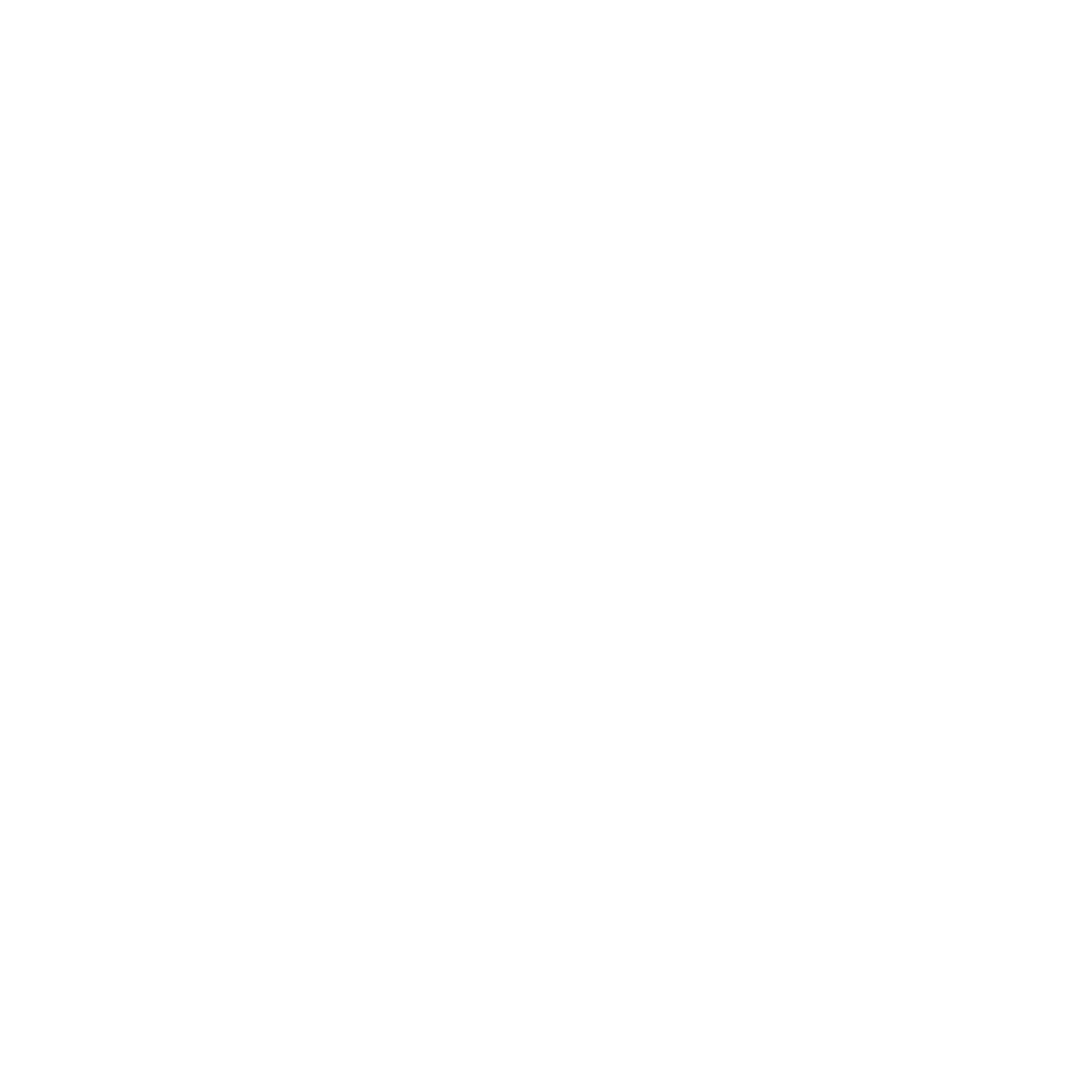 DSM Chat
